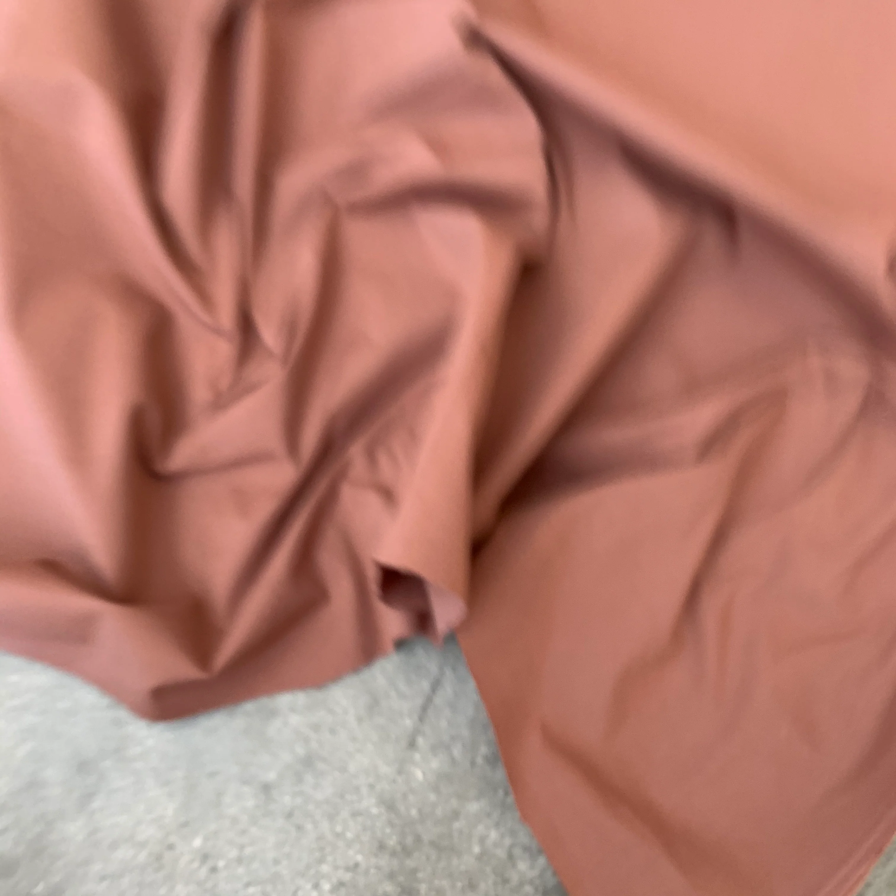 Melania Raisin   $20 per metre DISCOUNTED TO $10/M - Image 4