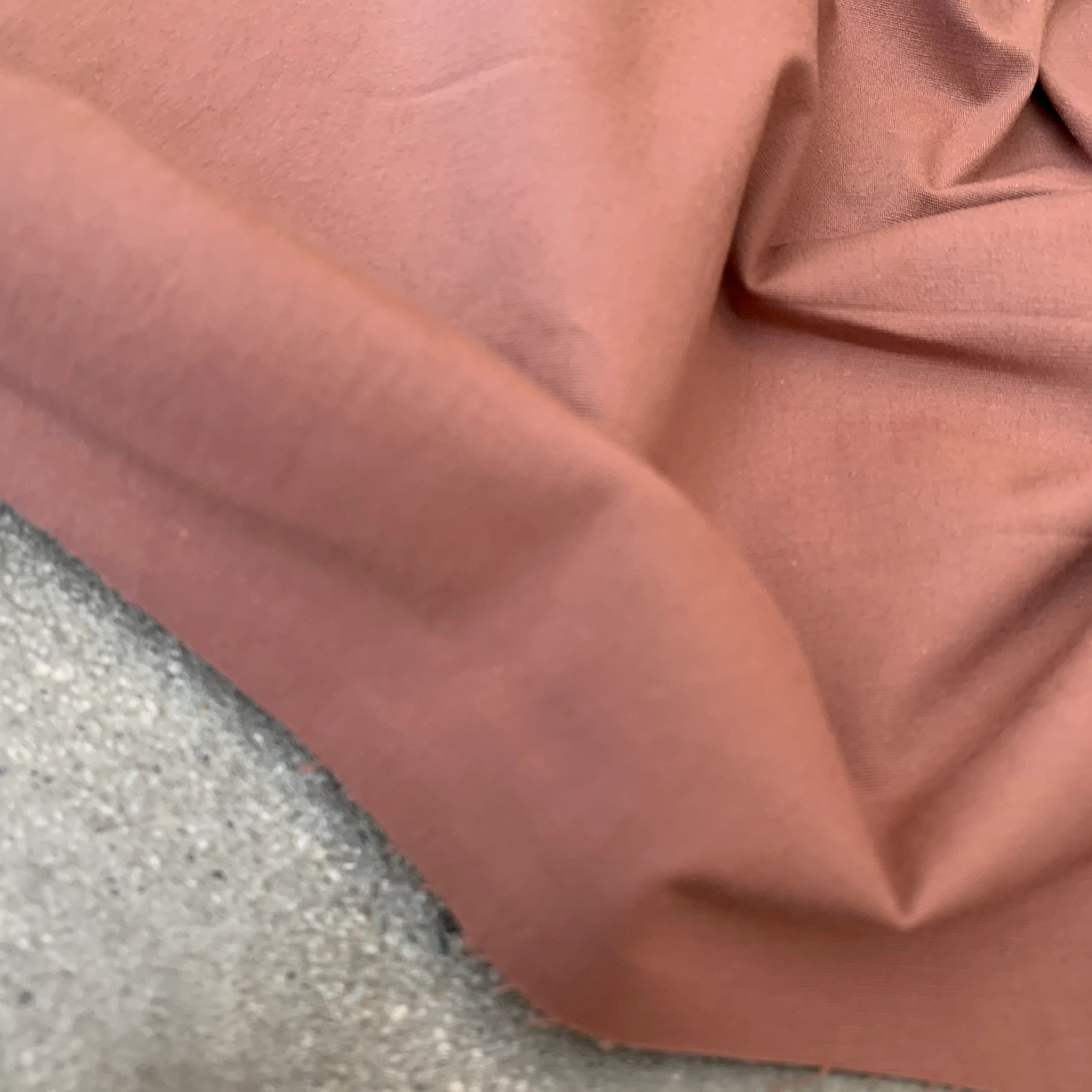 Melania Raisin   $20 per metre DISCOUNTED TO $10/M - Image 5