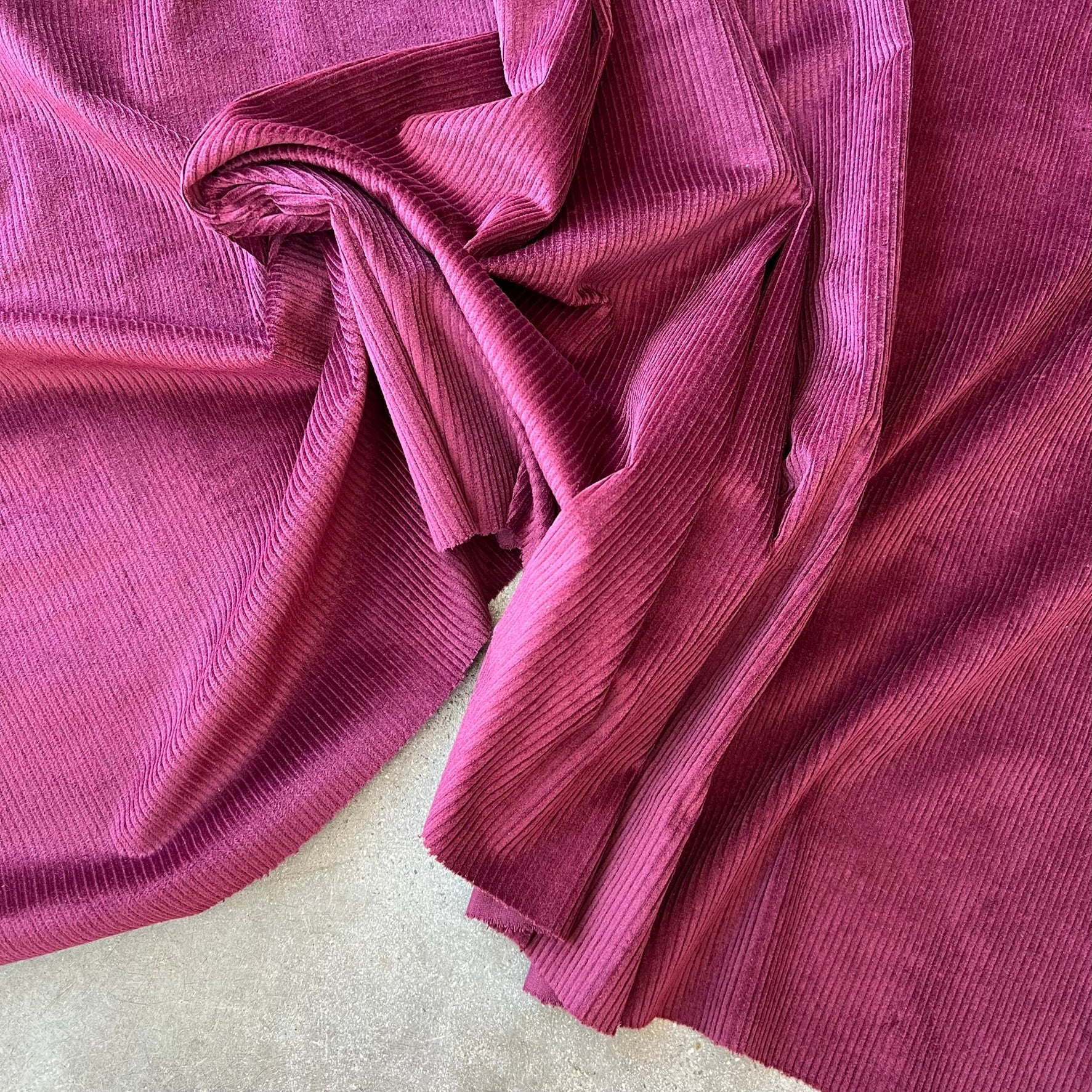 Roger Currant   Discounted to $10/m --WAS $28/m - Image 5