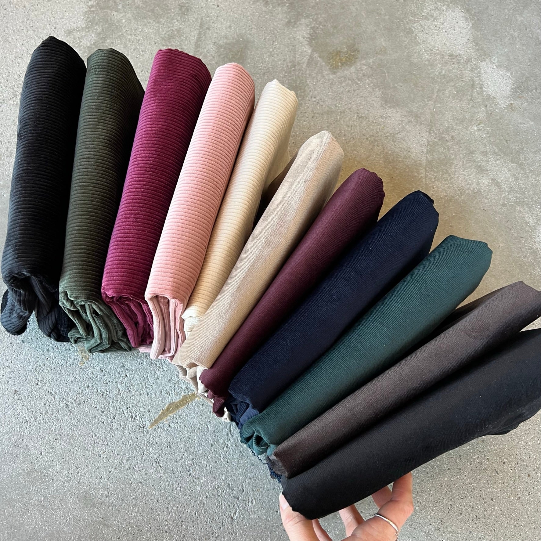 Roger Currant   Discounted to $10/m --WAS $28/m - Image 6